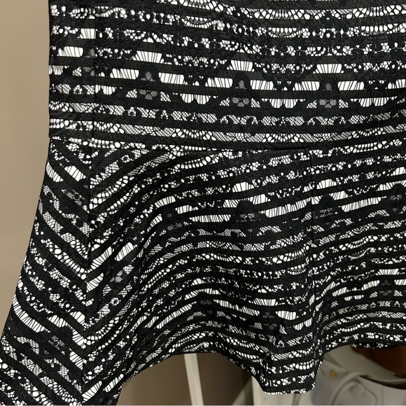 Ann Taylor Lace skirt - Picture 3 of 4